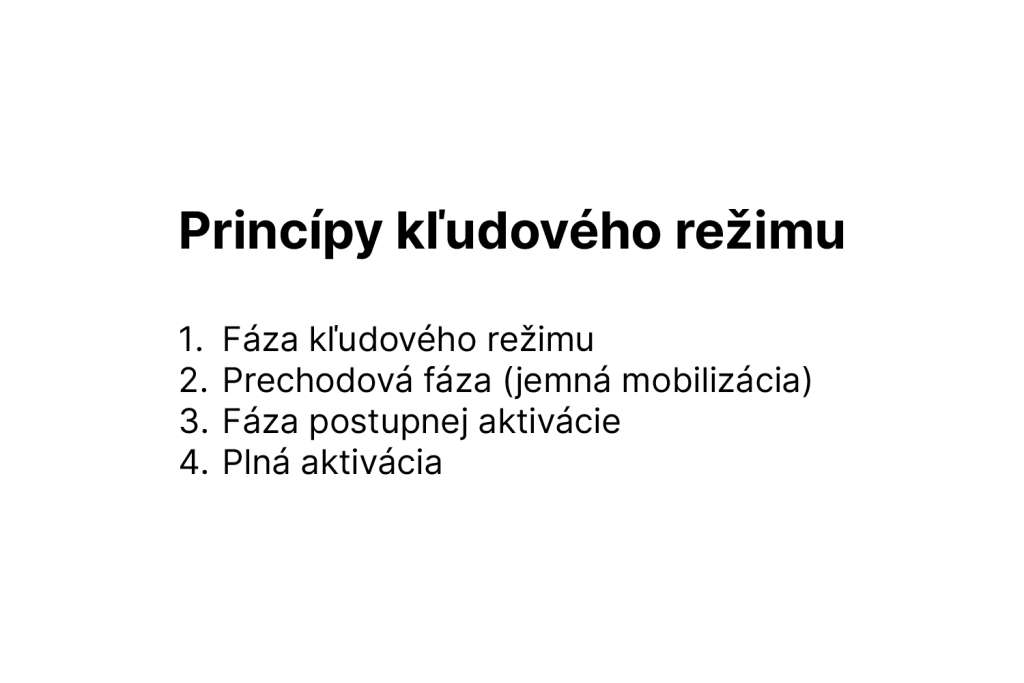 principy kludoveho rezimu
